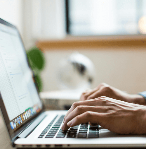 BitVolut support team illustration